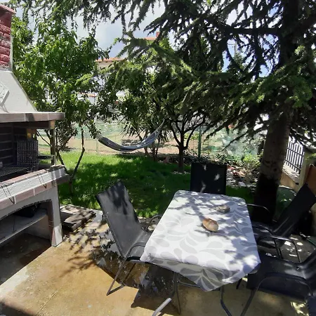 Soula's Sunshine Blue * Nea Karvali