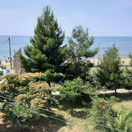 Soula's Sunshine Blue * Nea Karvali