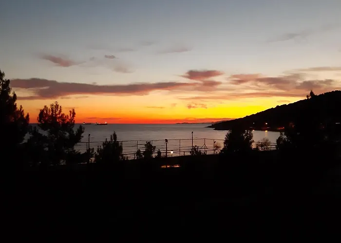 Soula's Sunshine Blue * Nea Karvali